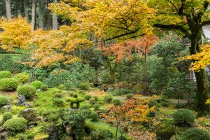 Profiter des activités en plein air dans les parcs