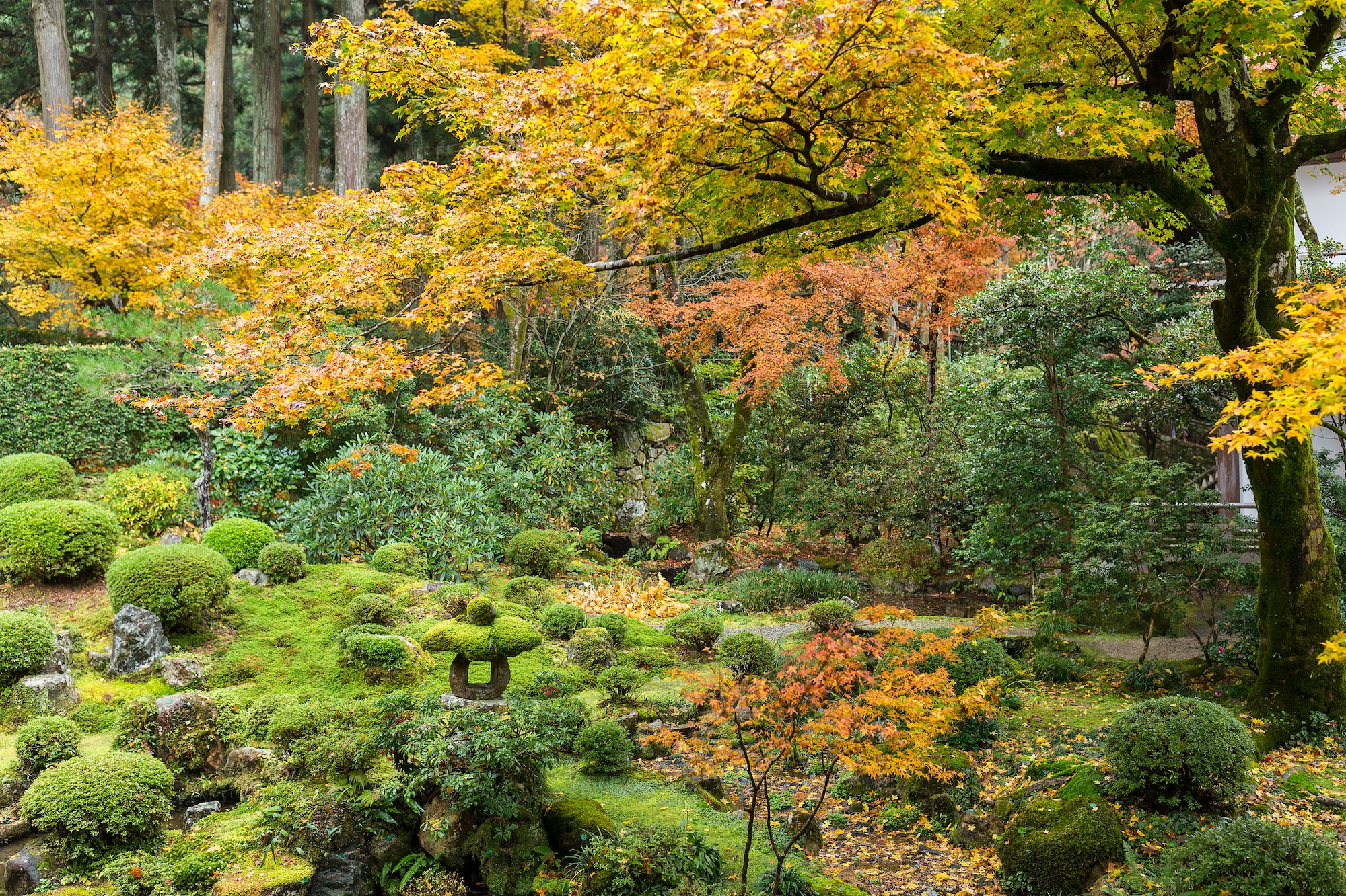 Profiter des activités en plein air dans les parcs